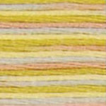 DMC Coloris #4508 Frosted Countryside