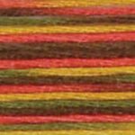 DMC Coloris #4511 Indian Summer