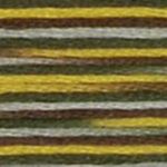 DMC Coloris #4521 Wide Open Spaces