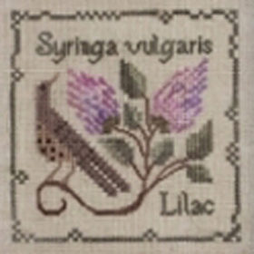 Common Lilac Counted Cross Stitch Pattern by The Drawn Thread