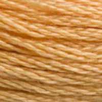 A close-up view of embroidery thread skeins, held taught horizontally. The shade is a medium light golden brown with a touch of orange
