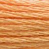 A close-up view of embroidery thread skeins, held taught horizontally. The shade is a medium orangey copper, a bit peachy