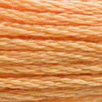 A close-up view of embroidery thread skeins, held taught horizontally. The shade is a medium orangey copper, a bit peachy
