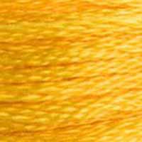 A close-up view of embroidery thread skeins, held taught horizontally. The shade is a deep yellow that is not too intense, like an old songbird.