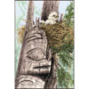 An eagle chick sits in a messy nest in a cleft at the top of a faded totem pole