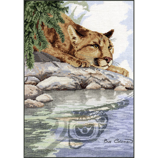 A cougar's head, laid on its paws, relaxing on a stone by a creek. Its reflection in the water is a Native-stylized line-art.