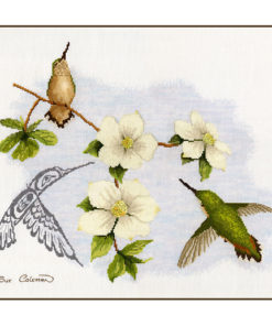 Two realistic green and tan hummingbirds among dogwood, one feeding, one perched. A third in Native line-art feeds nearby.
