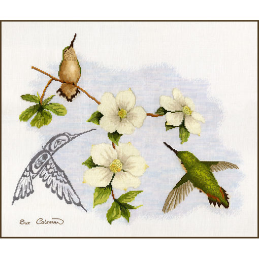 Two realistic green and tan hummingbirds among dogwood, one feeding, one perched. A third in Native line-art feeds nearby.