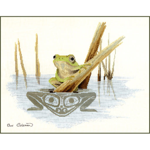 A Green frog sits on bent bull-rushes over a pond. Its reflection in the water is depicted in grey Native-style line-art