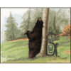 A black bear scratches itself against a tree in a pine forest. A Native line-art bear crouches against the trunk's other side