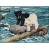 One black bear cub and one white polar bear cub, standing on a stone in a river. They are cautiously preparing to cross a fallen log.