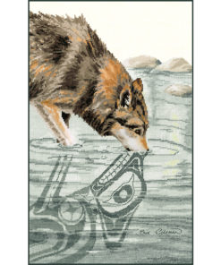 A timber wolf from the forequarters up bends to drink from a rocky stream. Its reflection is in Native line-art style.
