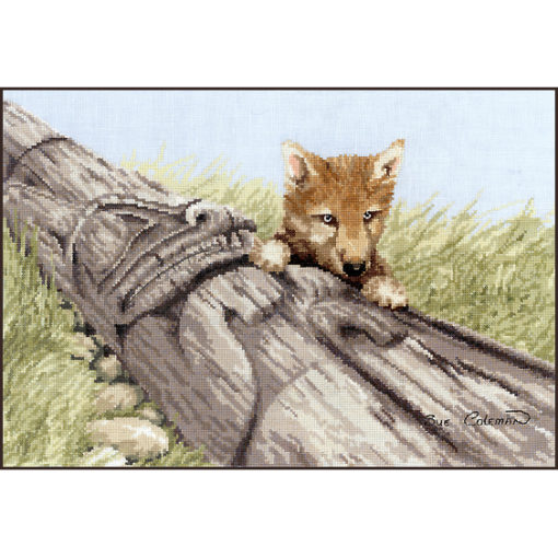 A russet-coated wolf pup leans on an old toppled totem pole in prairie field, peering over it.