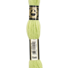 DMC Tapestry Wool #7549 Moss Green Light