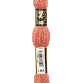 DMC Tapestry Wool #7166-Terra Cotta Light