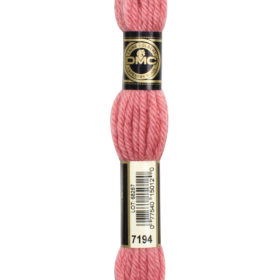 DMC Tapestry Wool #7194-Salmon