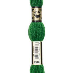 DMC Tapestry Wool #7346 Parrot Green Very Dark